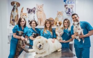 Equipo-Clinica-Veterinaria Equipo-Clinica-Veterinaria